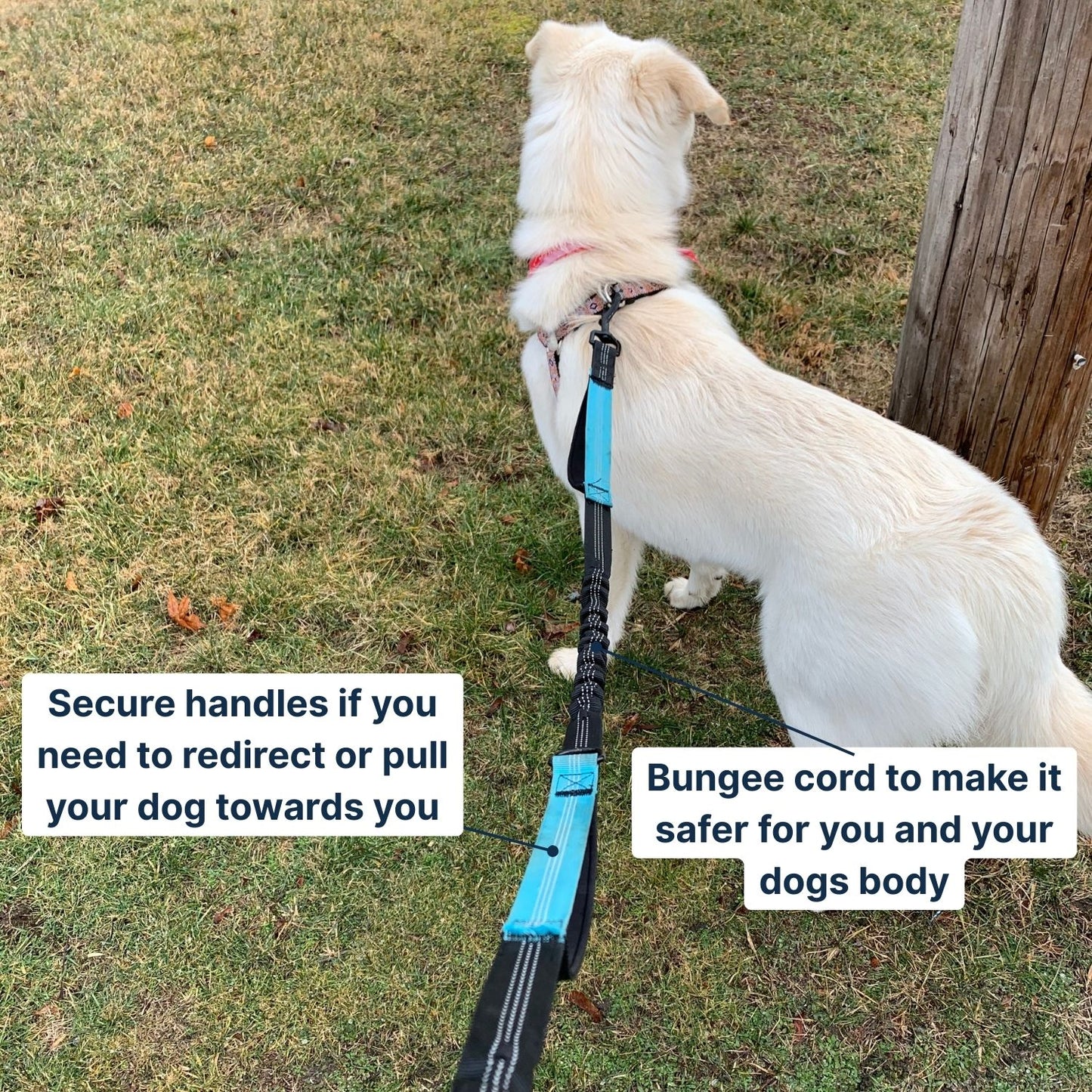HandsOffLeash™